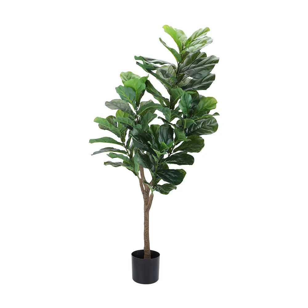 FLIDA FIDDLE LEAF TREE IN POT H145CM GN