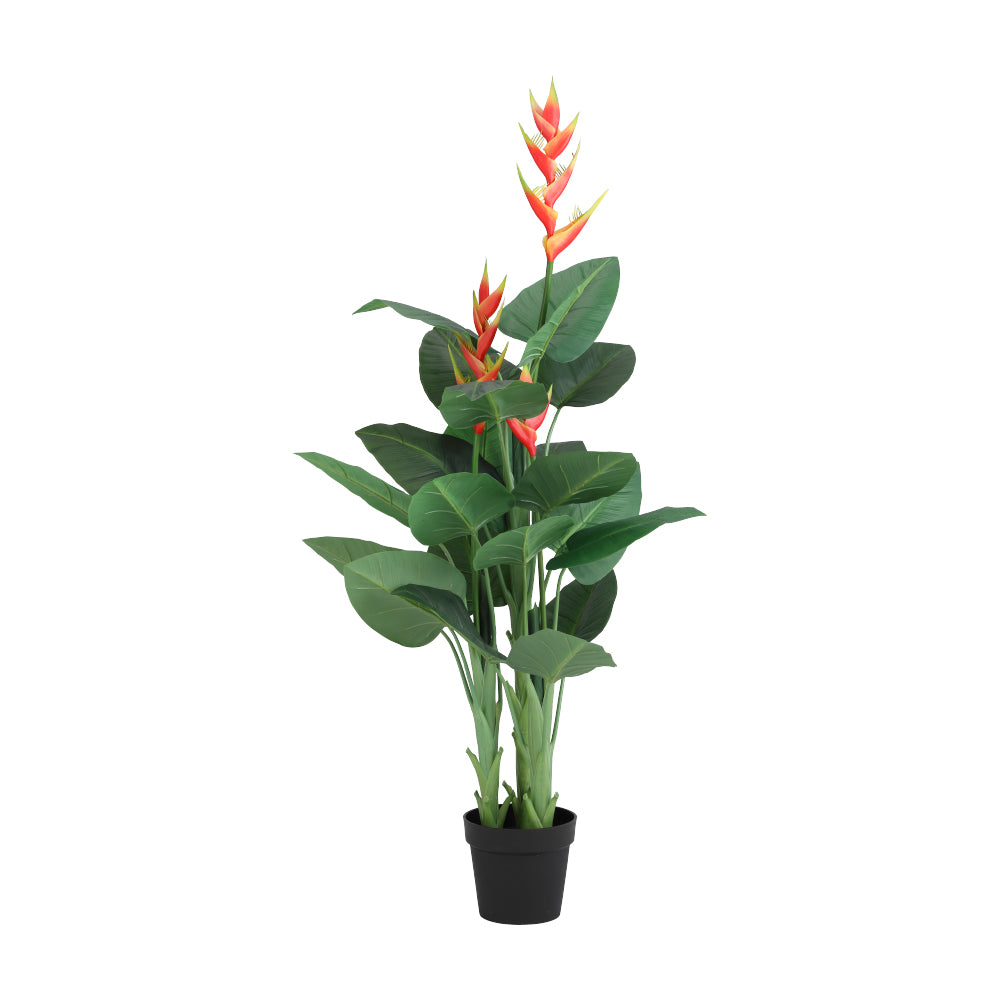 HENA HELICONIA TREE W/POT H140CM GN