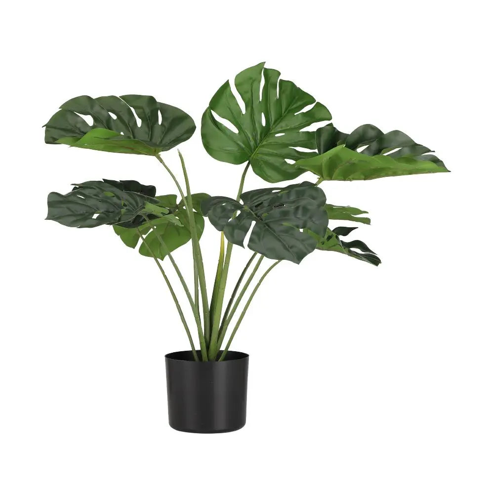 YAYA MONSTERA TREE W/POT H66CM GN