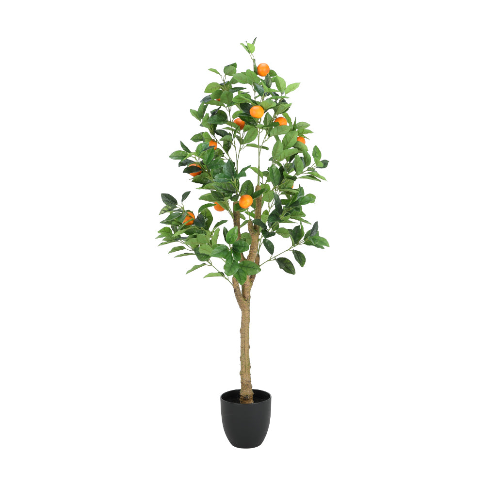 ORANGI ORANGE TREE IN POT H130 GN/ON