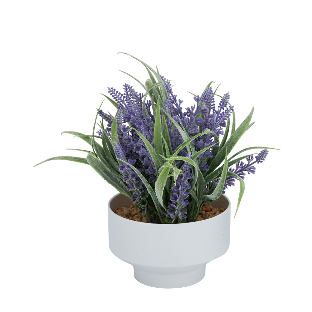 LAVENIA LAVENDER IN POT+STAND VL/WT
