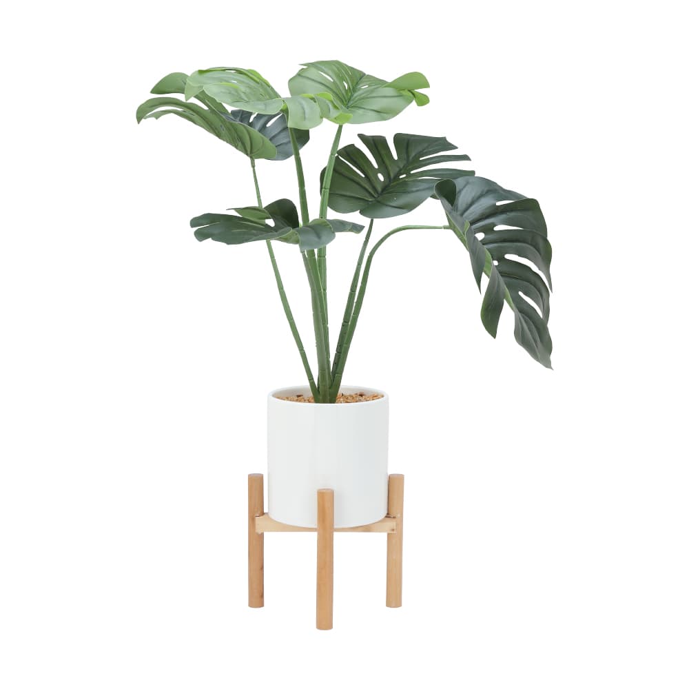 OLAF PLANT IN POT W/STAND GN/WT