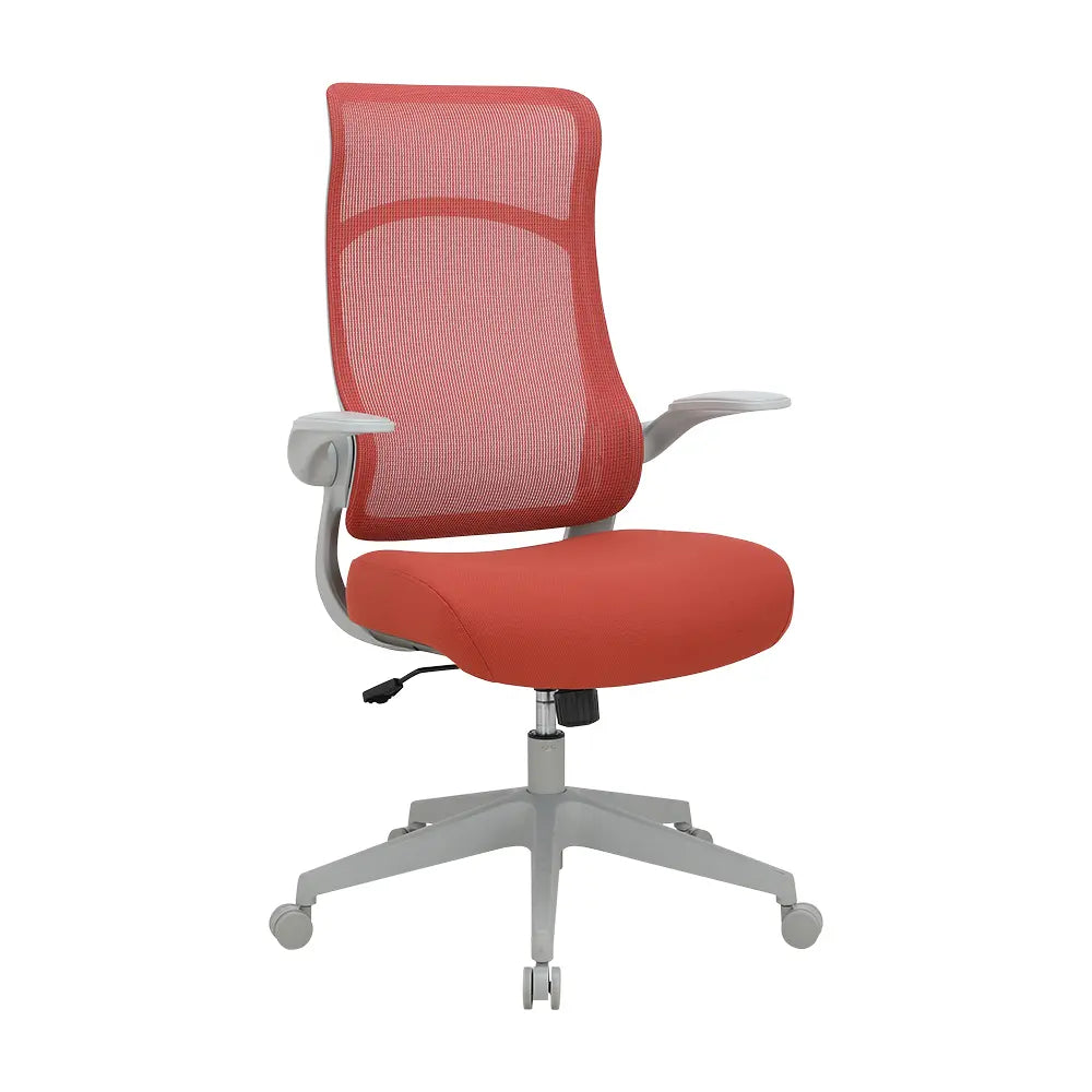 RADY ERGONOMIC CHAIR RD