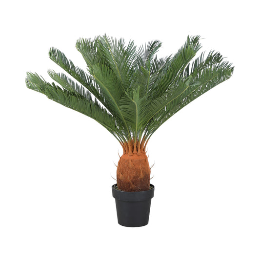 CYCAD CYCAS IN POT 80X80X90CM. GN