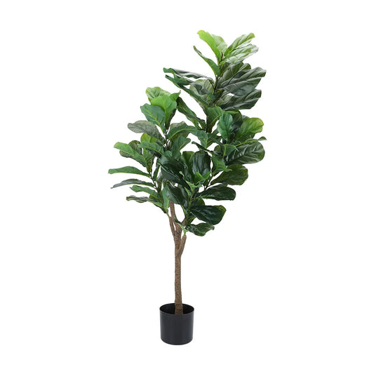 FLIDA FIDDLE LEAF TREE IN POT H145CM GN