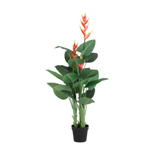HENA HELICONIA TREE W/POT H140CM GN