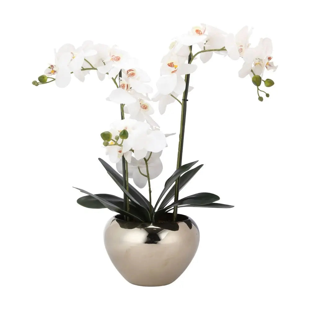 FALEEN ORCHID IN POT H53CM PK/SV