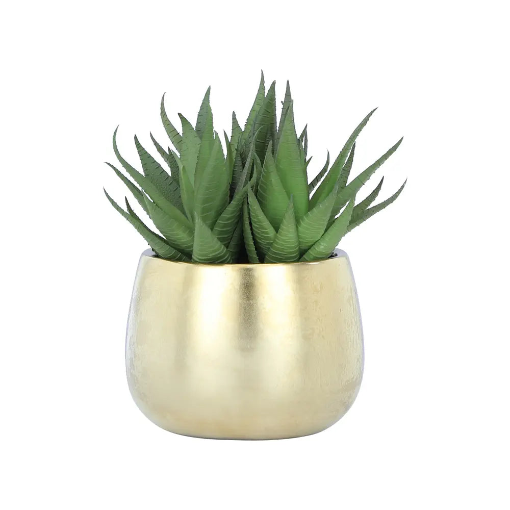 JANE-B ALOE IN CERAMIC POT GN/GD