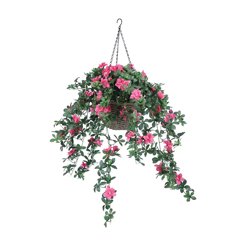 AZARA AZALEA IN HANGING BASKET PK/GN