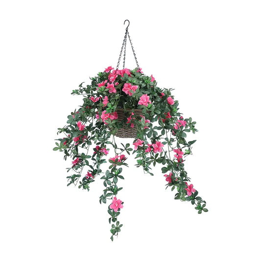 AZARA AZALEA IN HANGING BASKET PK/GN