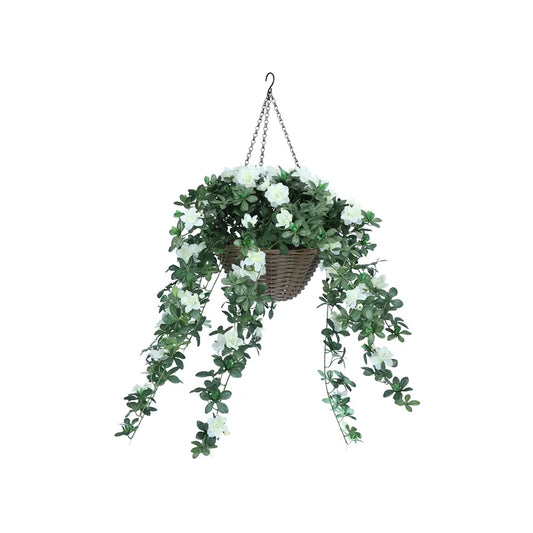 AZARA AZALEA IN HANGING BASKET WT/GN
