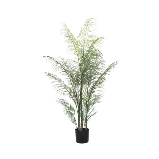 PEMA PALM TREE IN POT GN/LBN