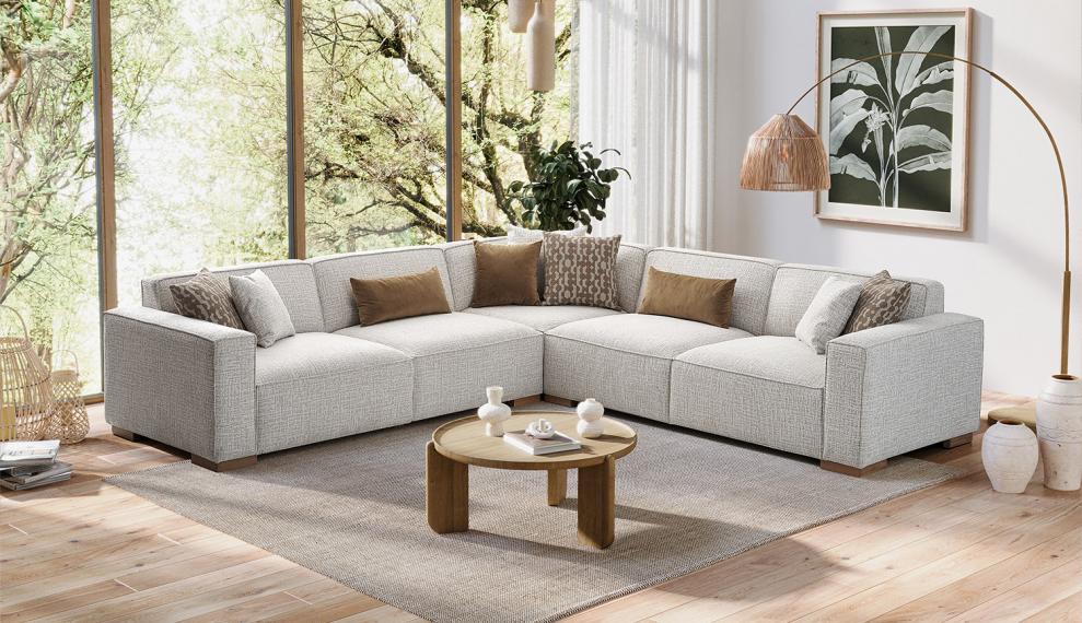 Bona Middle Module