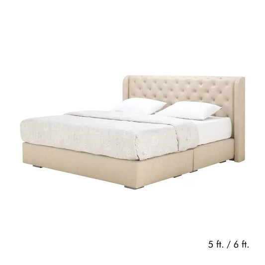 DOTIER FDT+HB PVC#L11-10 NF 6FT CR