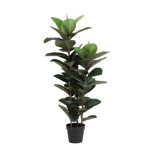 RUBIKA RUBBER TREE W/POT H130CM GN