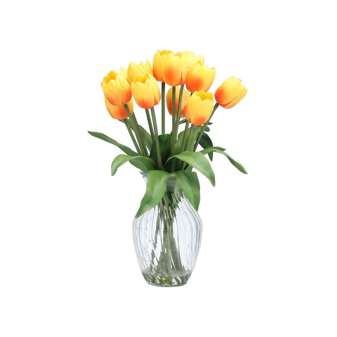 THALIA 12 TULIPS IN VASE ON/CG