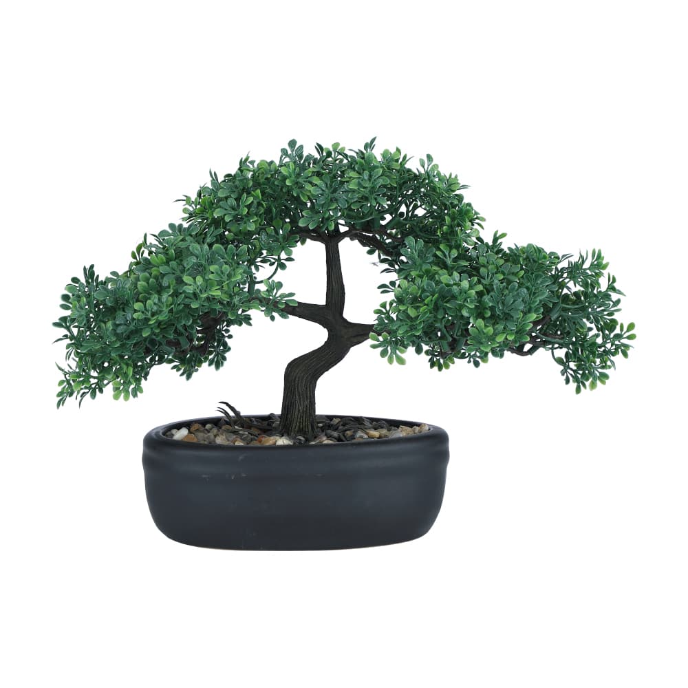 BONSY TEA BONSAI IN POT H22CM GN/BK
