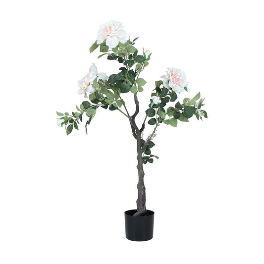 ORNETTA ROSE IN POT 115CM PK/GN