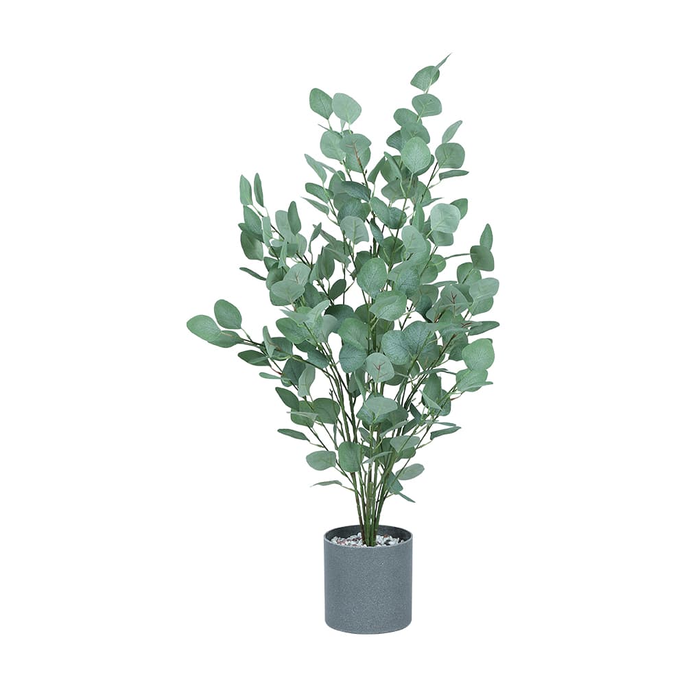 VIVA EUCALYPTUS IN MELAMINE POT GN/GY